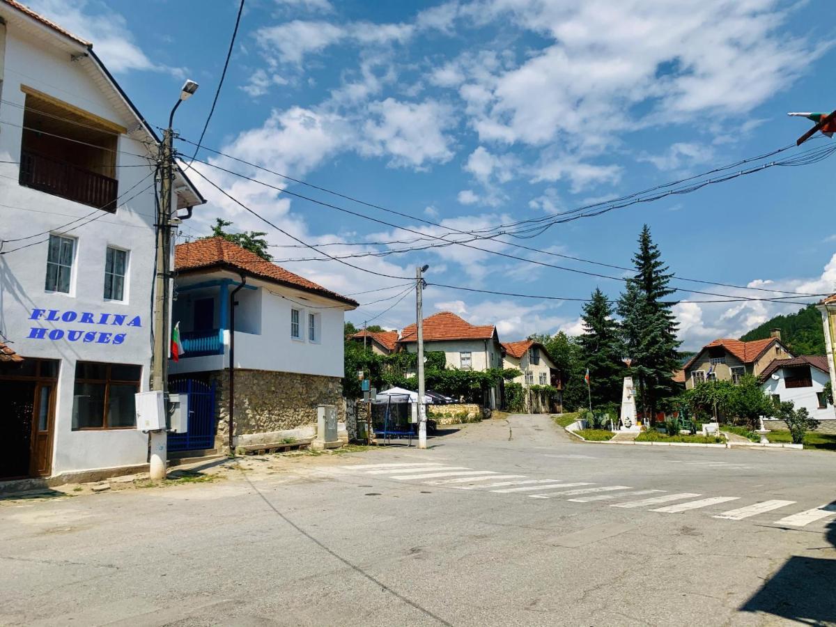 Цяла Ваканционна Къща- Florina Houses Goranovtsi Ngoại thất bức ảnh